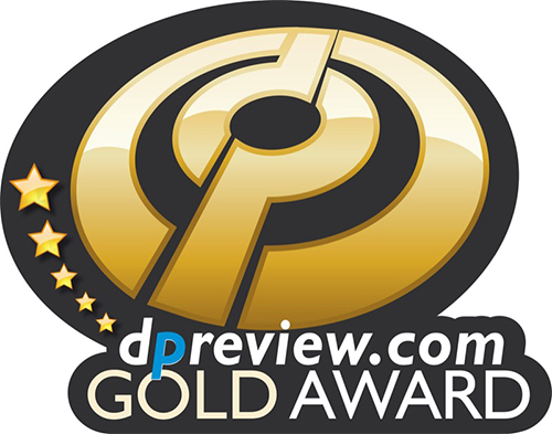 DP Gold Award