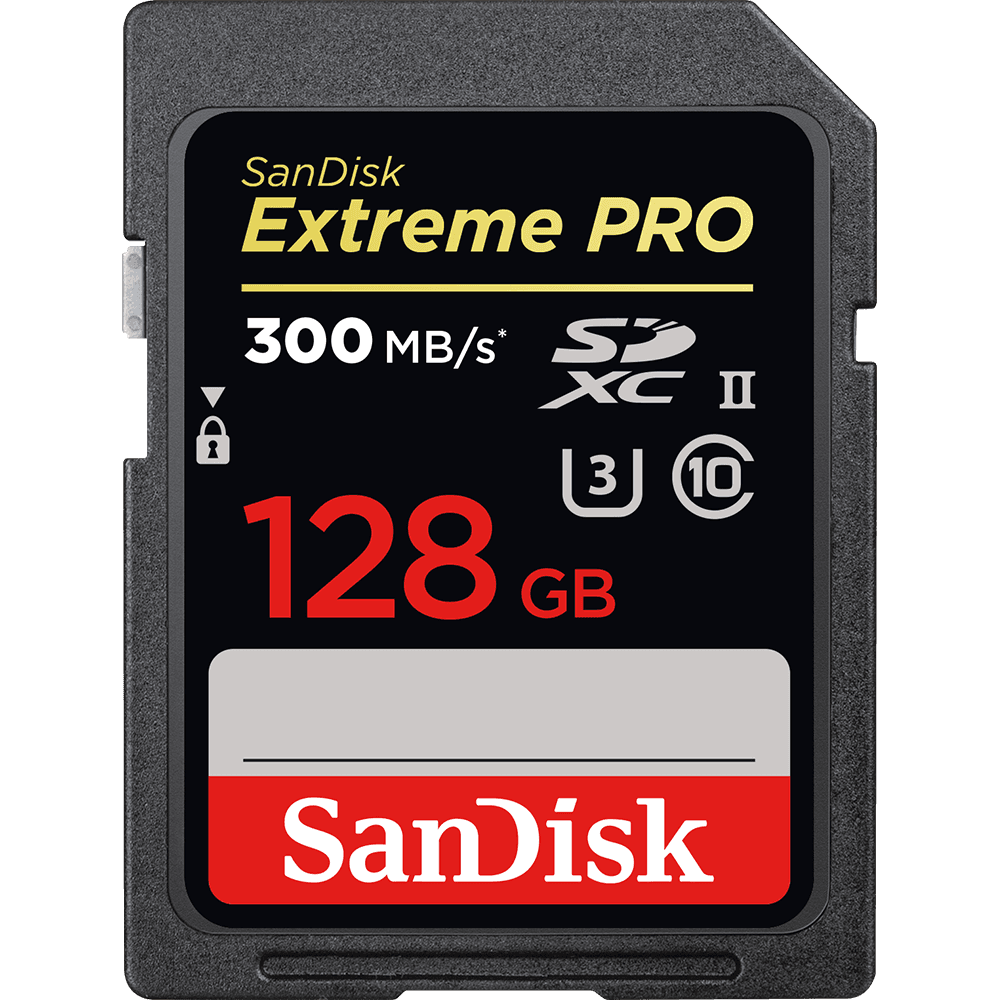EDCRFV 256GB UHS-I/U3 SDXC Memory Card Speed up to 95MB/s with SD Adapter 95MB-256GB 