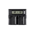 Newell DC-LCD dual channel charger for DMW-BLF19E batteries