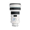 Canon EF 400mm f/4 DO IS USM