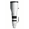 Sigma 300-600mm F4 DG OS (Sony E-mount)