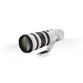 Canon EF 200-400mm f/4L IS USM Extender 1.4x