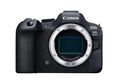 Canon EOS R6 Mark II Body