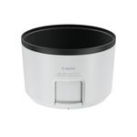 Canon RF 100-500mm F4.5-7.1L IS USM