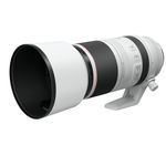 Canon RF 100-500mm F4.5-7.1L IS USM