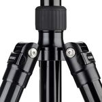 Benro A3883 Reverse-Folding Aluminum Travel Tripod with S6Pro Fluid Video Head