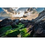 Sony FE 24-70mm F2.8 GM II