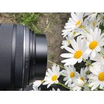 Canon RF 24mm F1.8 MACRO IS STM