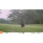 Bushnell CORE™ S-4K NO GLOW TRAIL CAMERA