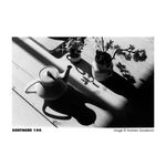 Harman Kentmere 100 35mm 36 Exposures