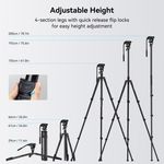 Smallrig Video Tripod Kit CT210