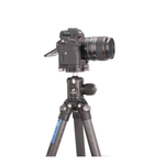 Leofoto Ranger LS-254C + Ballhead LH-30