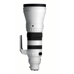 Sigma 300-600mm F4 DG OS (L-Mount)