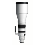 Sigma 300-600mm F4 DG OS (L-Mount)