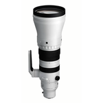 Sigma 300-600mm F4 DG OS (Sony E-mount)
