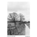 Harman Kentmere 200 35mm 36 Exposures