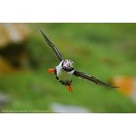 Sony A6700 + E 16-50mm f/3.5-5.6 PZ OSS II