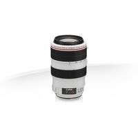 Canon EF 70-300mm F4-5.6L IS USM
