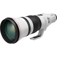 Canon EF 600mm f/4L IS III