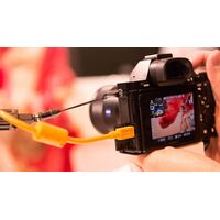 Tether Tools TetherPro USB 2.0 to Micro-B 5-Pin