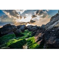 Sony FE 24-70mm F2.8 GM II