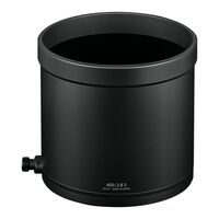 Nikon Z 400mm f/2.8 TC VR S
