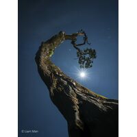 Sony FE 20-70mm F4 G