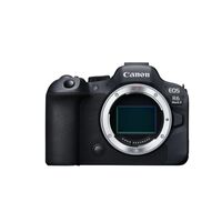 Canon EOS R6 Mark II + RF 24-105mm f/4 L IS USM