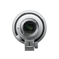 Sony FE 300mm F2.8 GM OSS