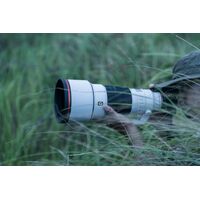 Sony FE 300mm F2.8 GM OSS