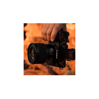 Panasonic LUMIX S 100mm F2.8 MACRO