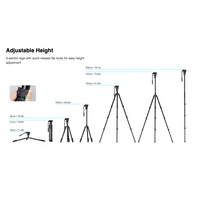 Smallrig Video Tripod Kit CT210