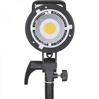 Godox SL-100D Video 2-Light Kit