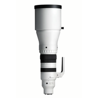 Sigma 300-600mm F4 DG OS (Sony E-mount)