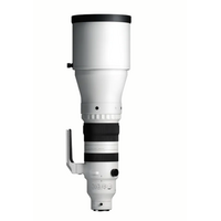 Sigma 300-600mm F4 DG OS (Sony E-mount)