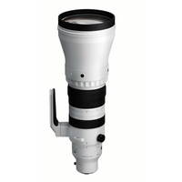 Sigma 300-600mm F4 DG OS (L-Mount)