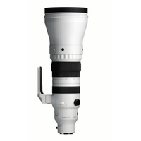 Sigma 300-600mm F4 DG OS (Sony E-mount)