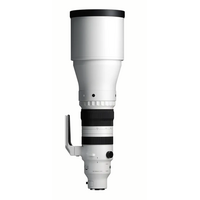 Sigma 300-600mm F4 DG OS (Sony E-mount)