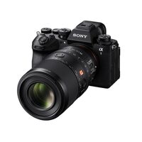 Sony FE 100mm F2.8 Macro GM OSS