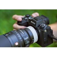 Sony FE 100mm F2.8 Macro GM OSS