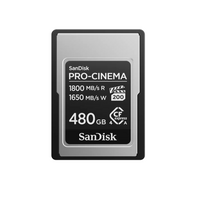 SanDisk PRO-CINEMA CFexpress Type A Card - 480GB