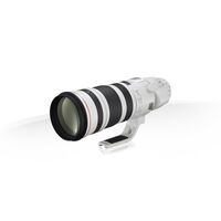 Canon EF 200-400mm f/4L IS USM Extender 1.4x