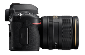 Nikon D780  + Nikkor 24-120mm F4G AF-S ED VR