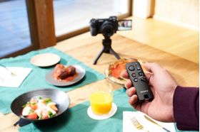 Sony GP-VPT3 Shooting Grip With Wireless Remote Commander