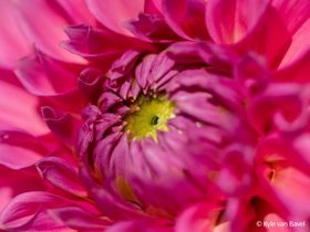 Sony FE 100mm F2.8 Macro GM OSS **PRE-ORDER NOW**