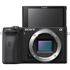 Sony ILCE A6600