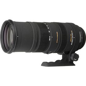 Sigma 150-500mm f/5-6.3 APO HSM (Nikon Fit)