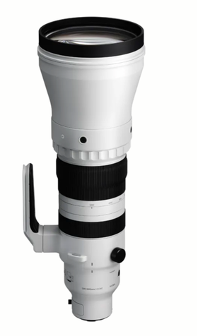 Sigma 300-600mm F4 DG OS (Sony E-mount)