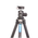 Leofoto Ranger LS-254C + Ballhead LH-30