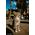 Sony FE 16mm F1.8 G